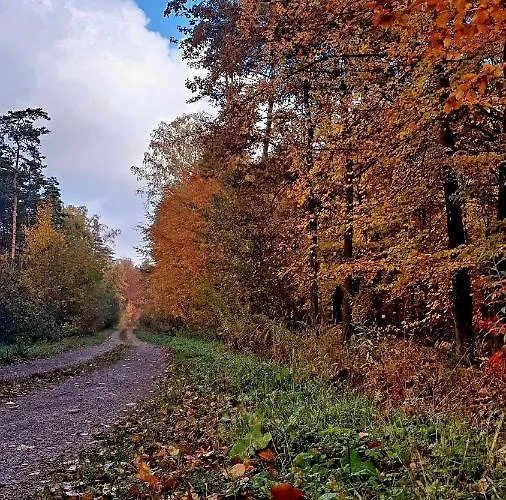 Apartamento Przestronny +silownia