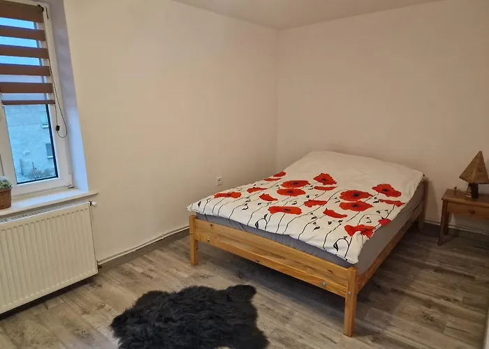 Przestronny +silownia